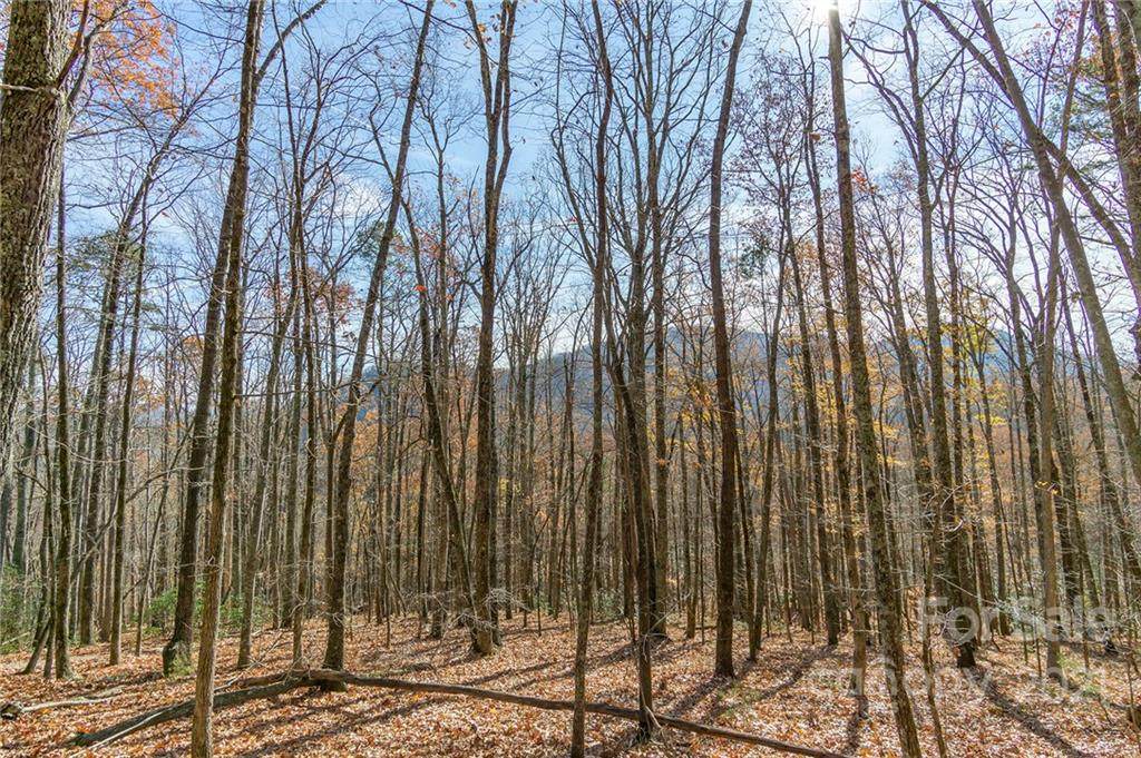 99999 Kalmia Road - Photo 1