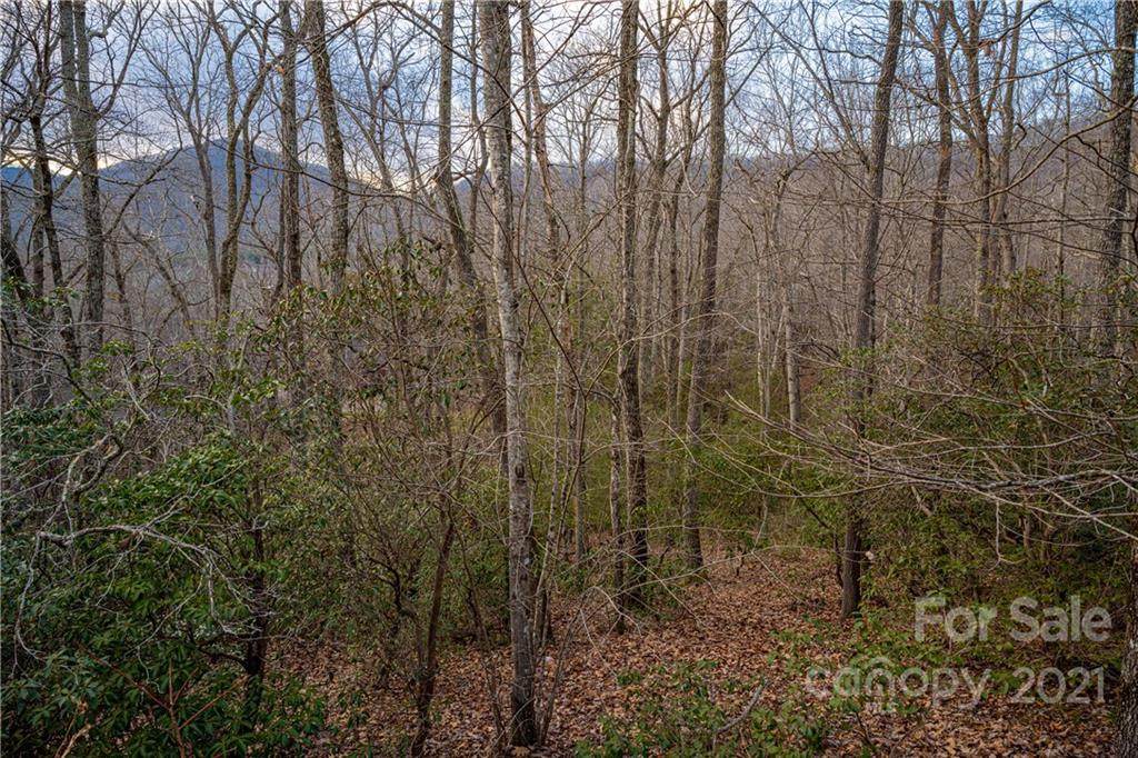 8 Wood Lily Trail - Photo 1