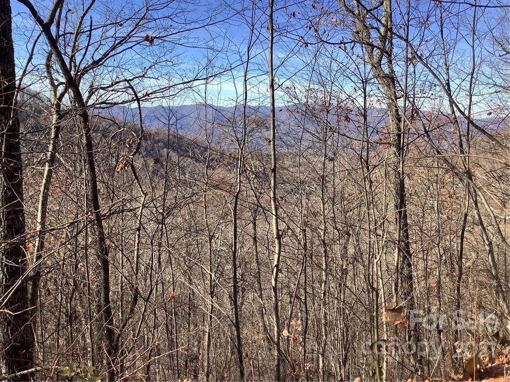 8 Heritage Ridge Loop - Photo 1