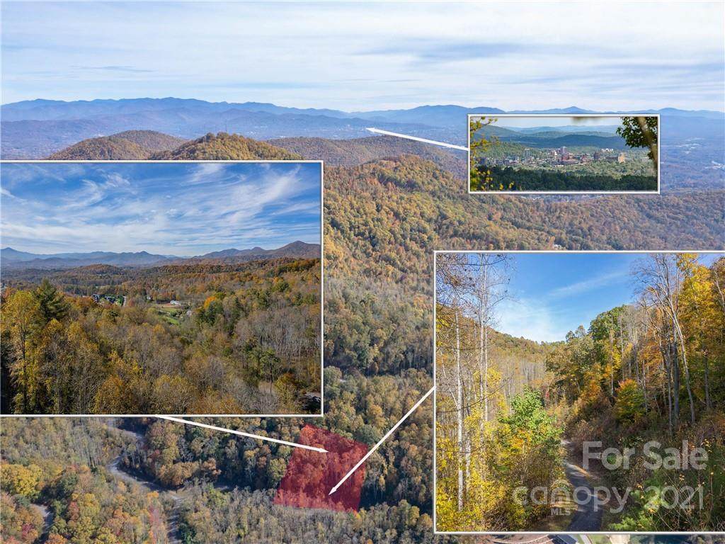 46 Ashewood Mountain Way - Photo 1
