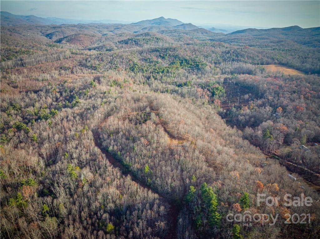 1100 SR Fork Creek Road - Photo 1