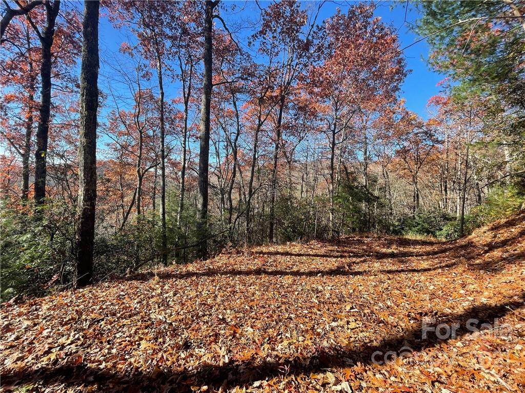 Lot 134 Green Hollow Lane - Photo 1