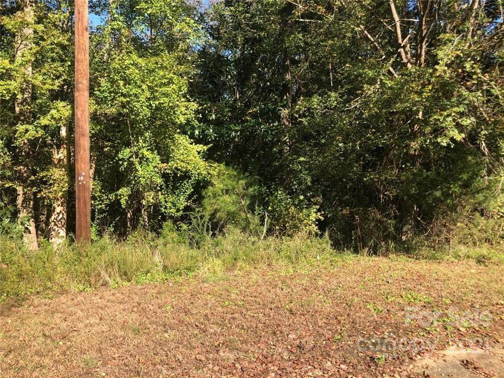 000 Dogwood Drive - Photo 1