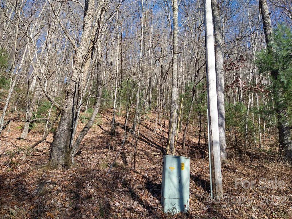 TBD Laurel Hill Drive - Photo 1
