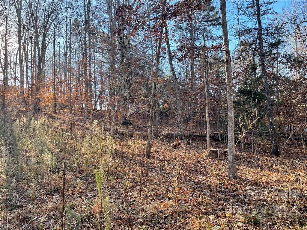 0000 Beechtree Circle - Photo 1
