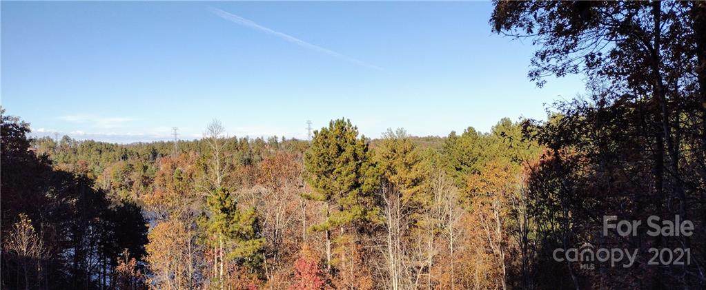 1318 Sunset Point Drive - Photo 1