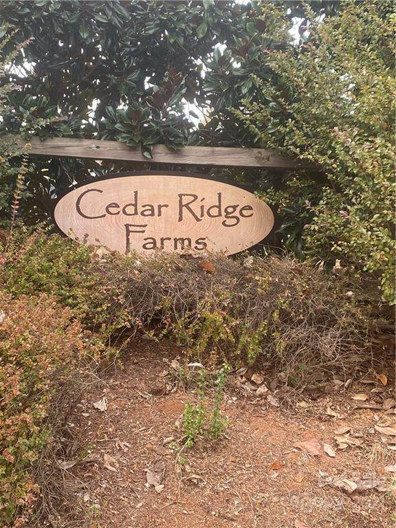 Lot 23 Long Cedar Lane - Photo 1