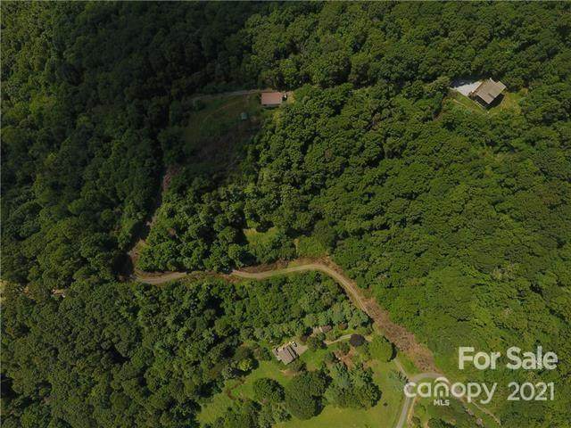 0 Hickory Lane - Photo 1