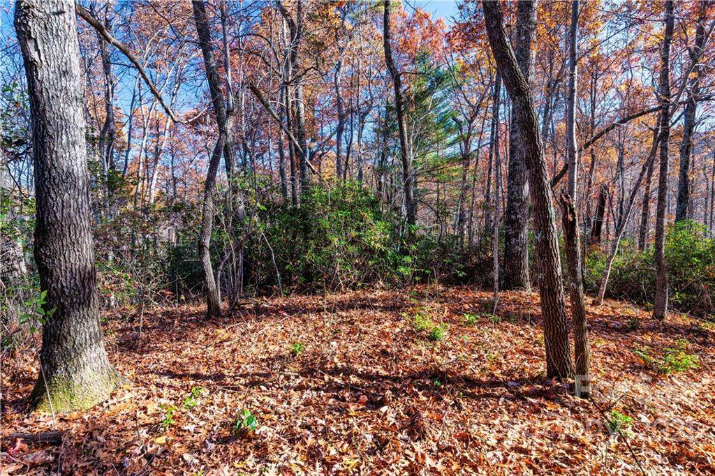 15.5 Acres Old Fort Road - Photo 1