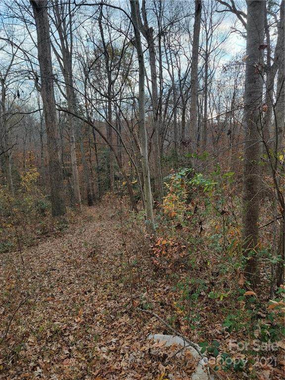 00 Broad River Lane - Photo 1