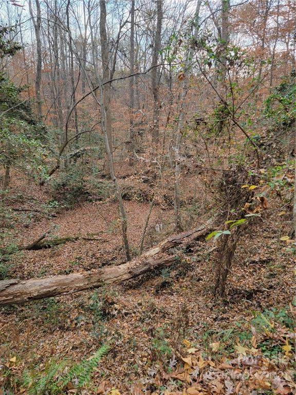 00 Broad River Lane - Photo 1