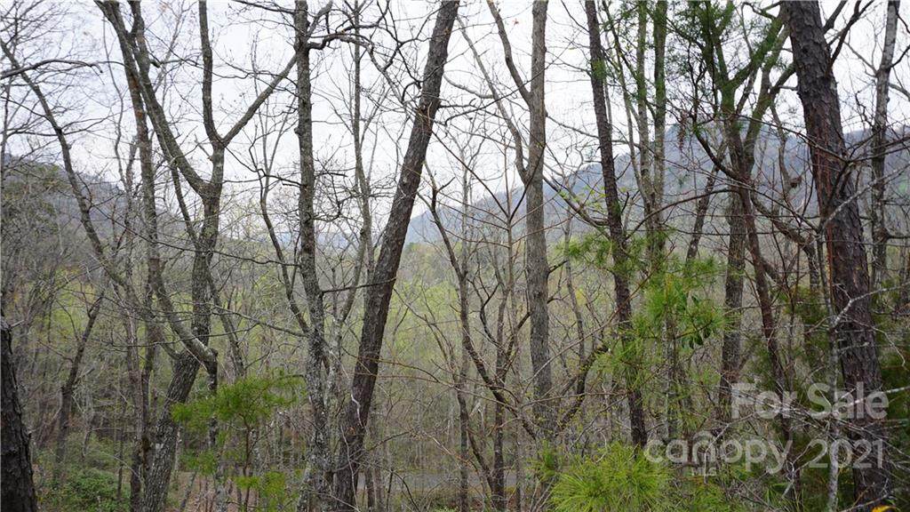 000 Watership Road - Photo 1