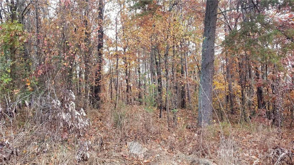 0000 Edgewood Road - Photo 1