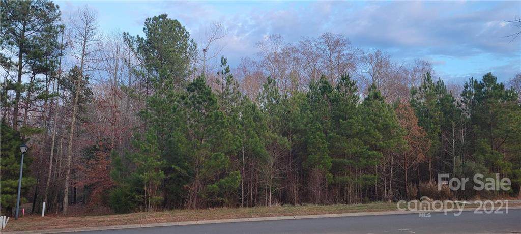 000 Waxhaw Crossing Drive - Photo 1
