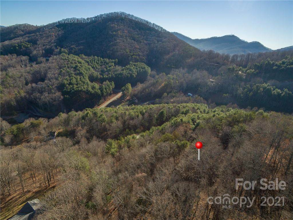 38 Carolina Buckthorn Drive - Photo 1