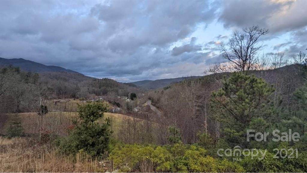 TBD Shoal Creek Road - Photo 1