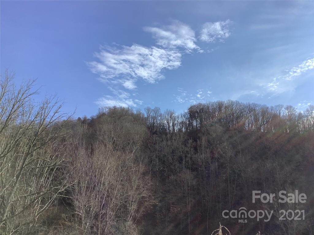 00 Ponder Creek Road - Photo 1