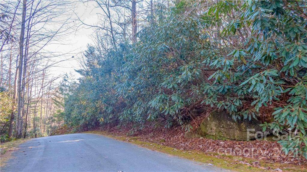 TBD Toxaway Falls Drive - Photo 1