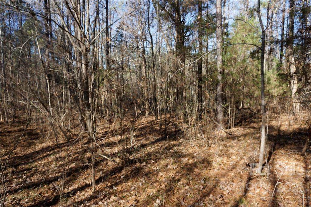 Lot 1 Skyline Road - Photo 1