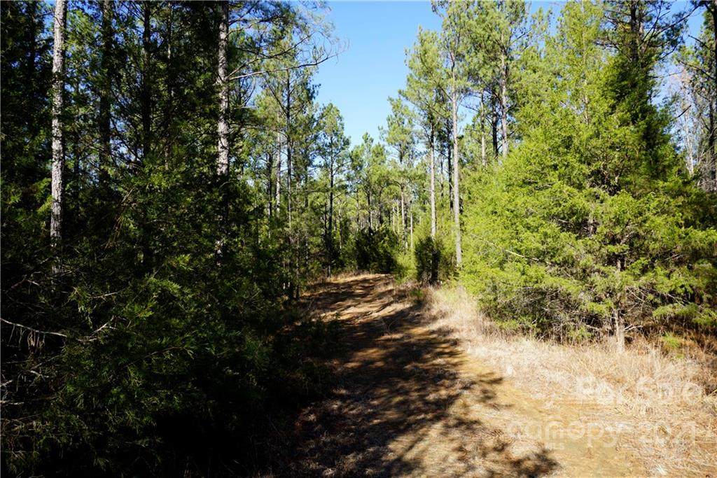 19.5 AC Skyline Road - Photo 1