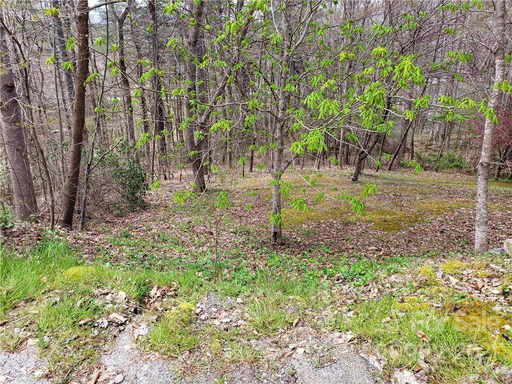 LOT 7A Pumphouse Road - Photo 1
