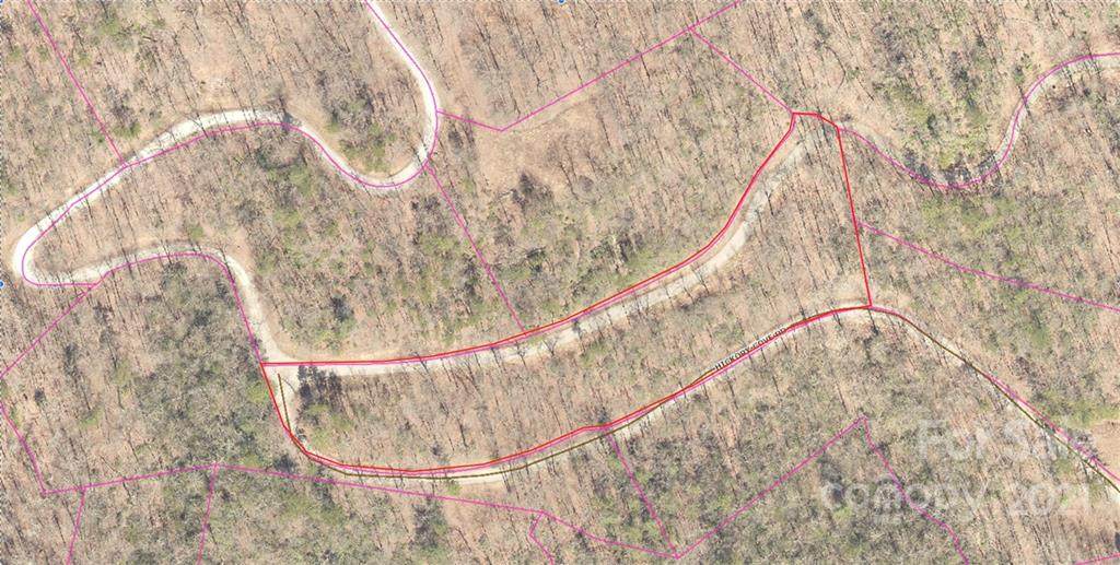0 Hickory Cove Road - Photo 1