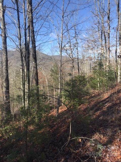 5 Honey Mountain Road - Photo 1