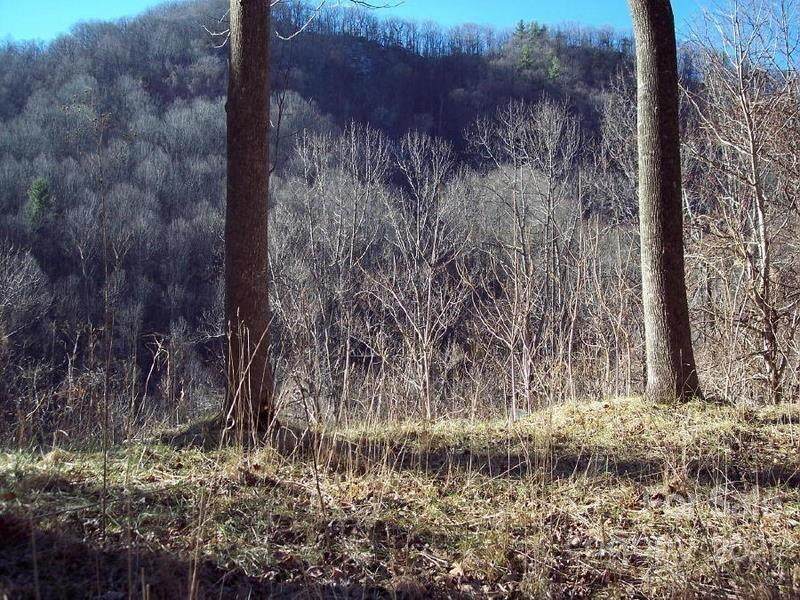 1011 South Fork Road - Photo 1