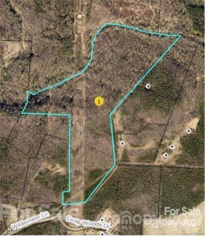 000 Wilderness Lane - Photo 1