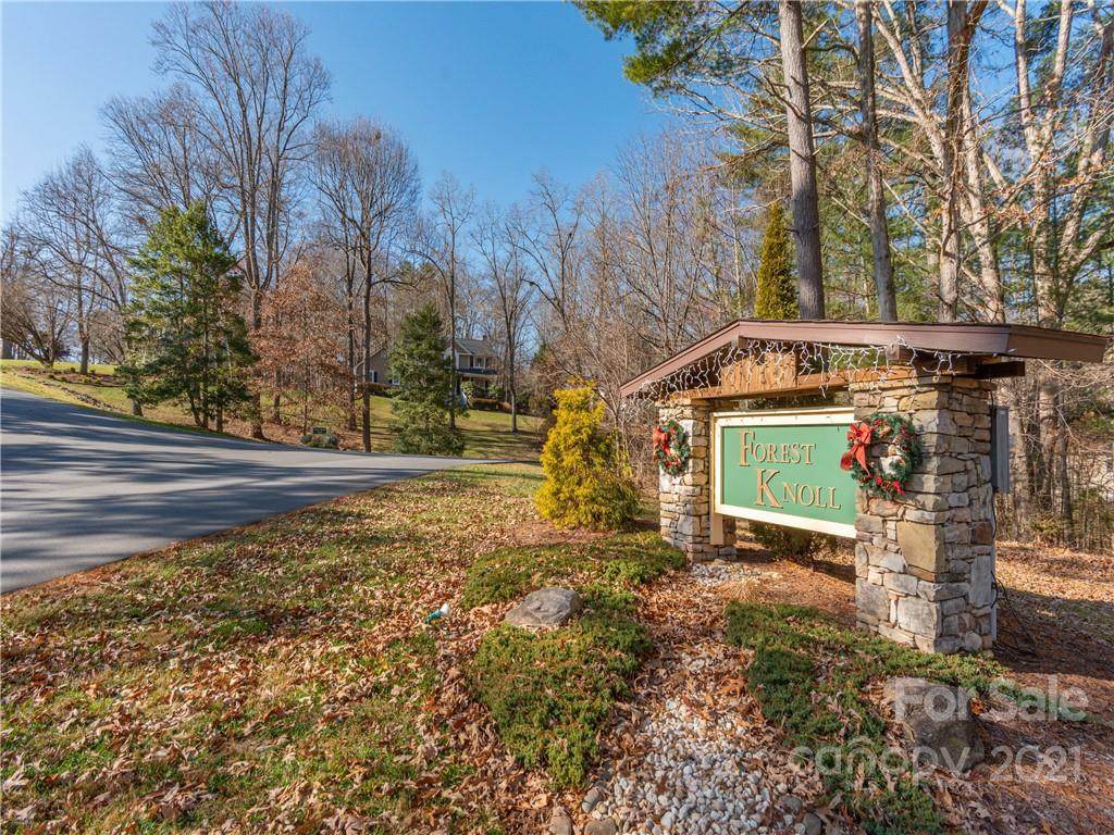 0 Forest Knoll Drive - Photo 1