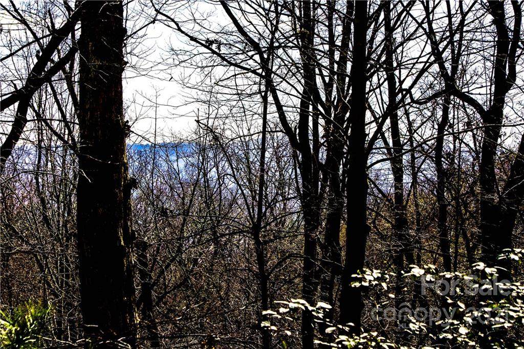 M77 Pine Mountain Trail - Photo 1