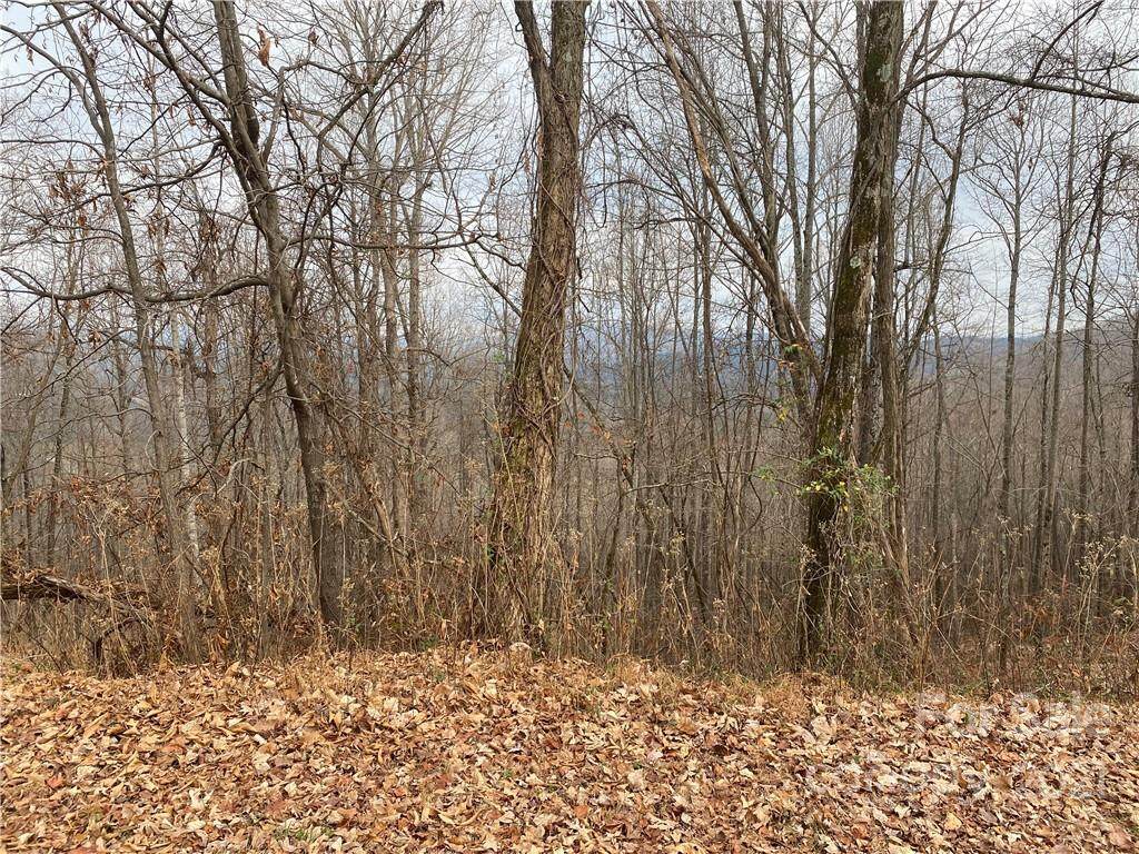 0 Mountain Lookout Drive - Photo 1