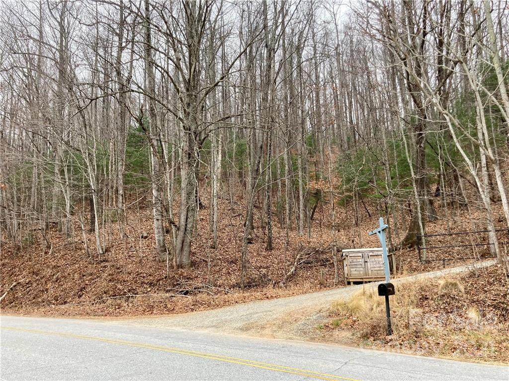 000 Mine Mountain Road - Photo 1