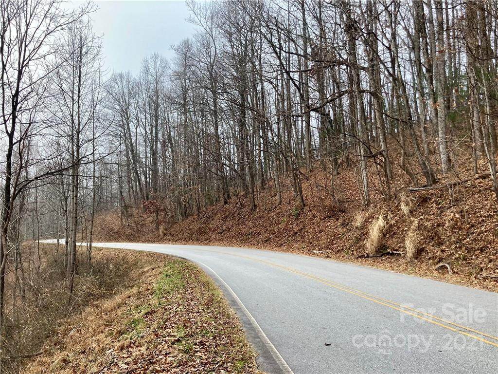000 Mine Mountain Road - Photo 1