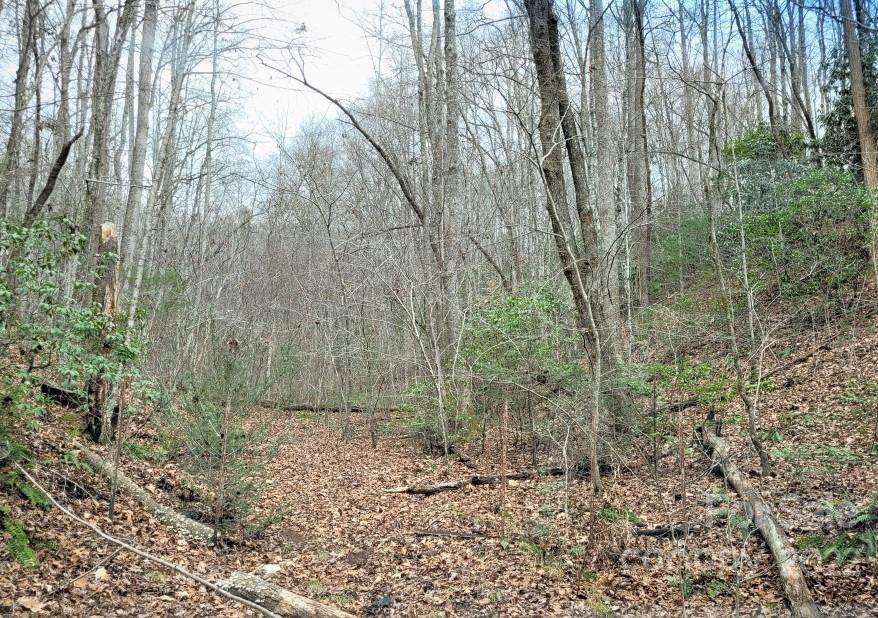 00 Rufus Robinson Road - Photo 1