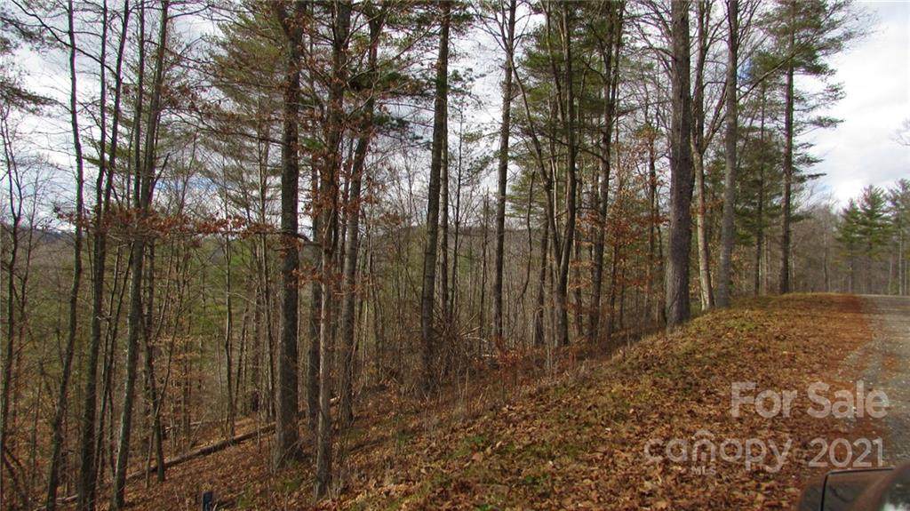 00 High Peak Drive - Photo 1