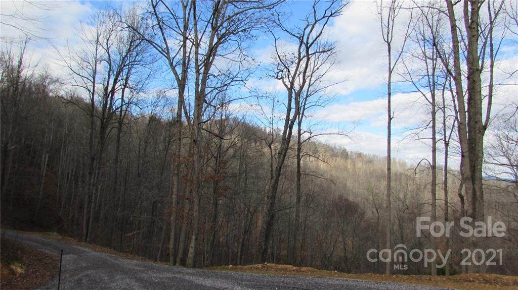 00 Falling Water Drive - Photo 1