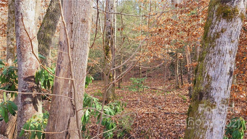 VL Bat Cave Road - Photo 1