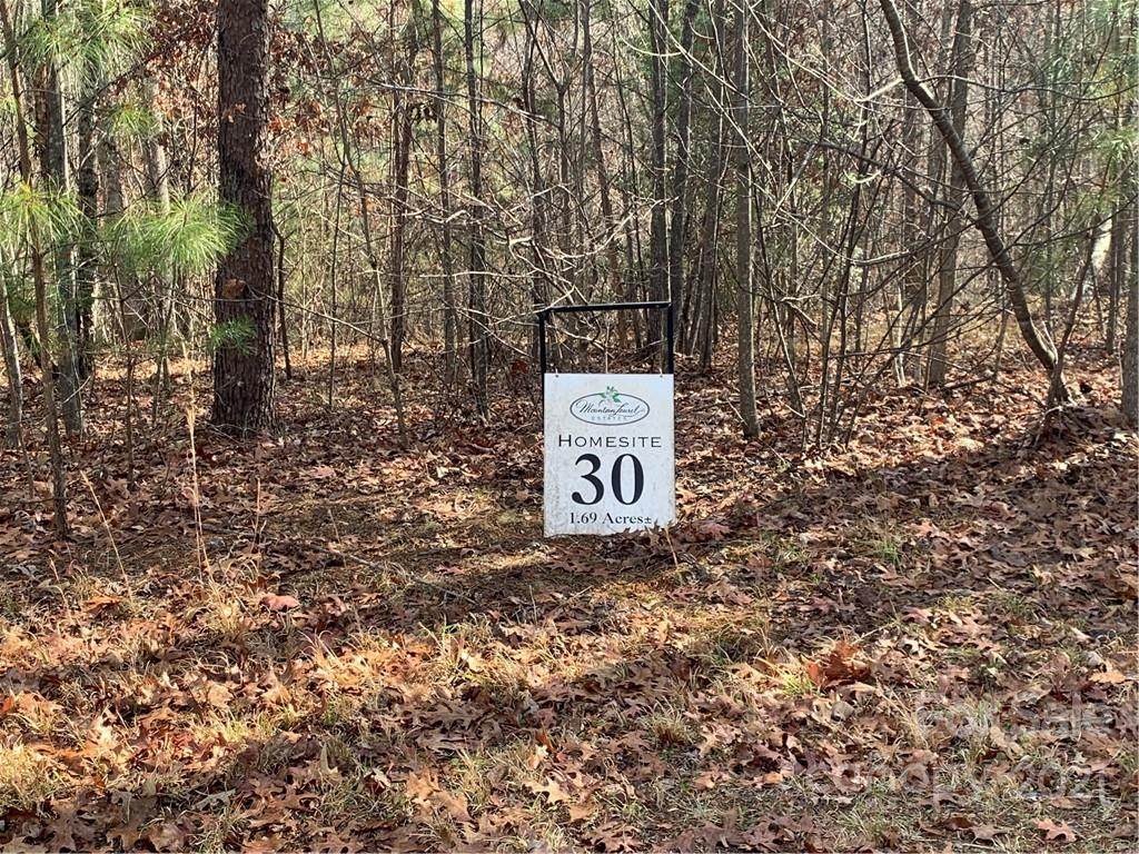 Lot 30 Cross Creek Trail - Photo 1