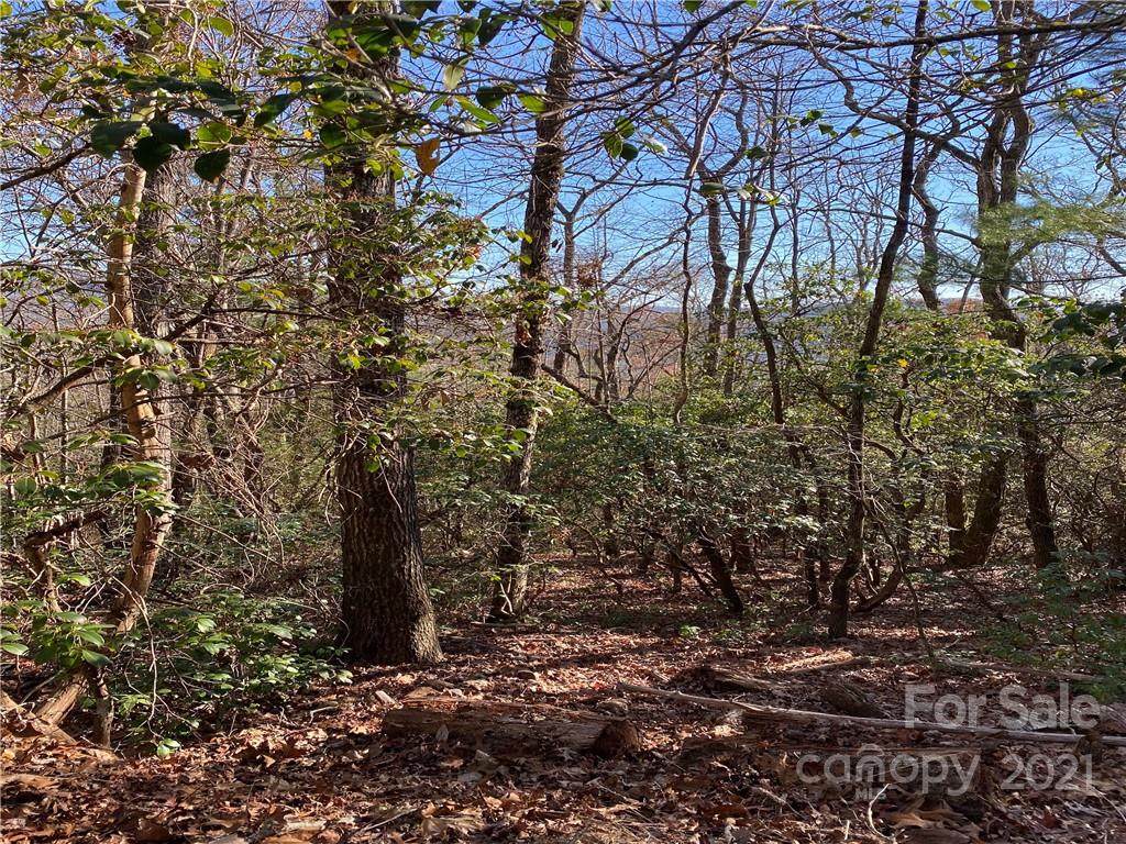 5C Dogwood Circle - Photo 1