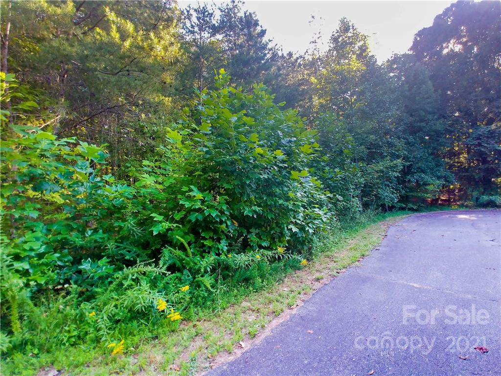 TBD Wildwood Road - Photo 1