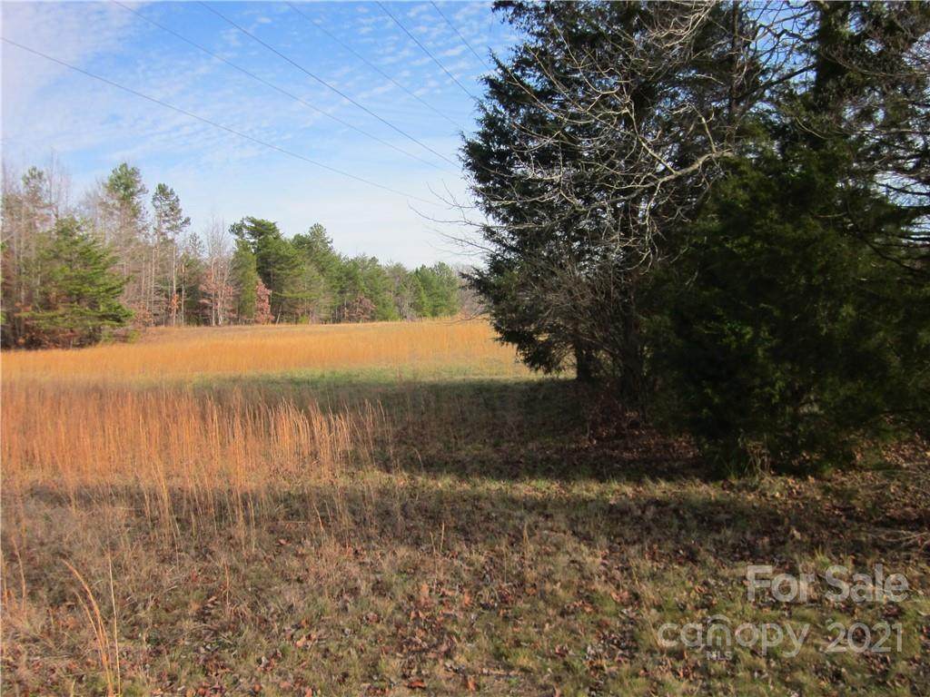 11700 Mt Holly-Huntersville Road - Photo 1