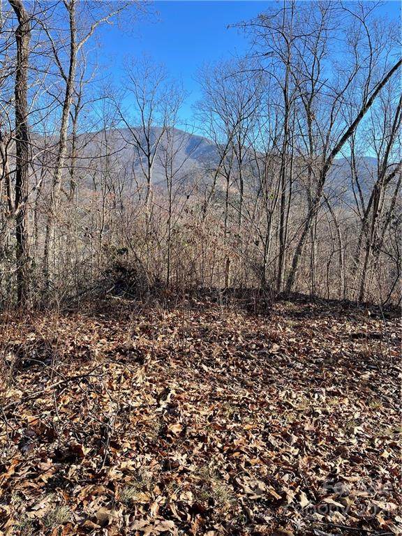 99999 Micadale Lane - Photo 1