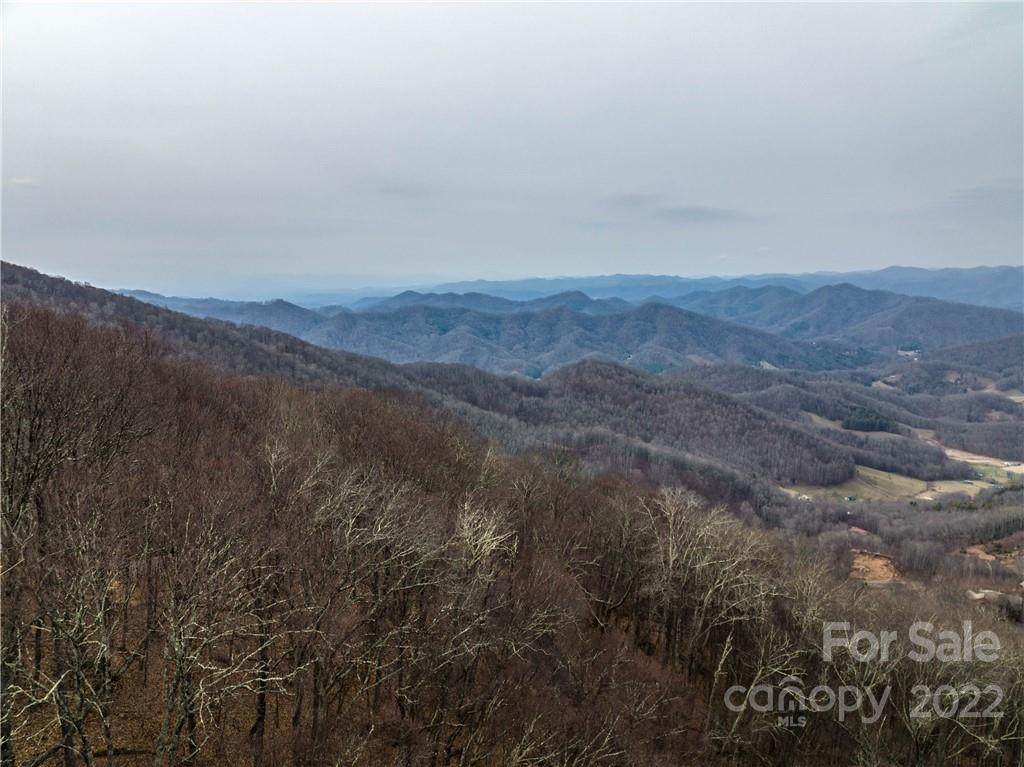 99999 Old Growth Forest Road - Photo 1