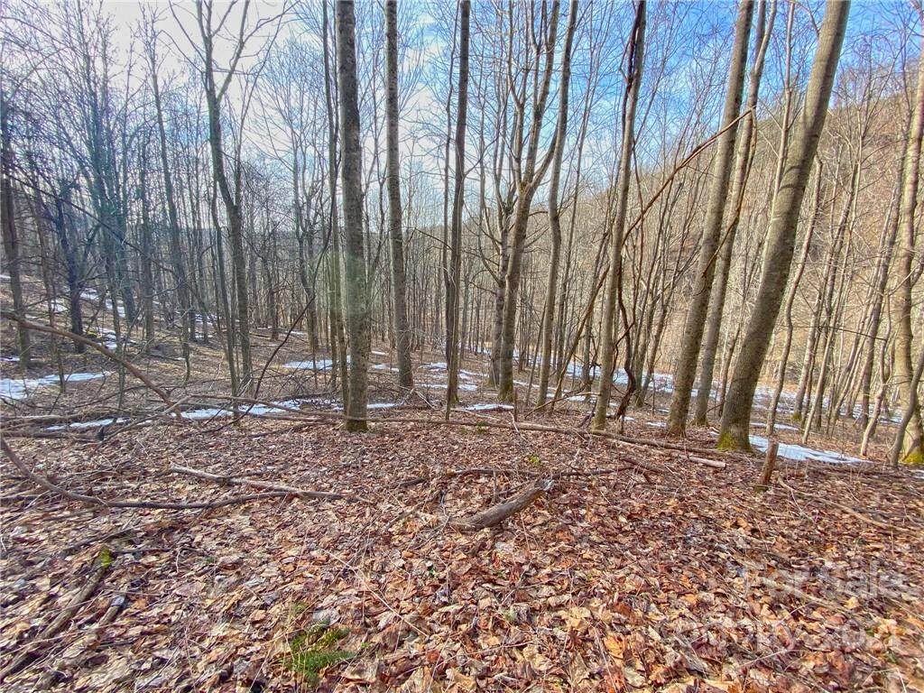 TBD Amos Creek Road - Photo 1