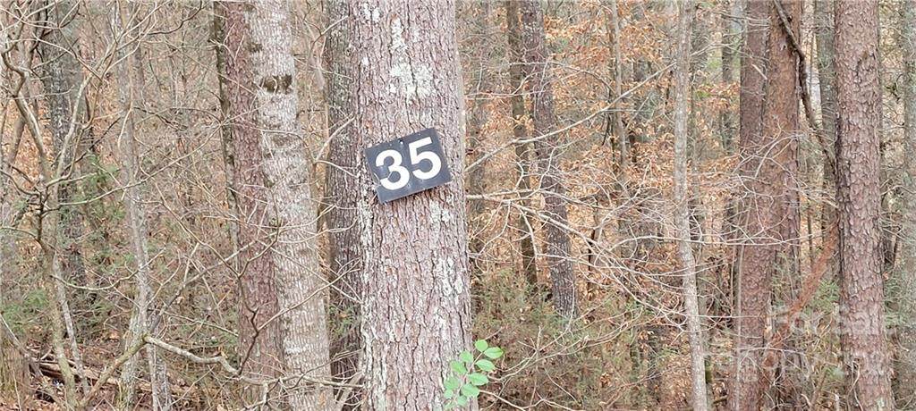 35 Settlers Trail - Photo 1