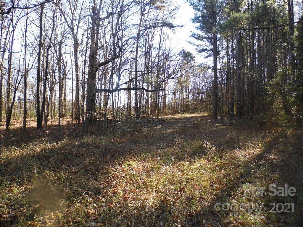 0000 Forest Hills School Road - Photo 1