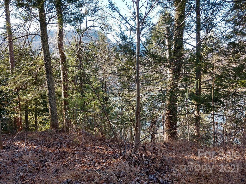 00 Buffalo Shoals Road - Photo 1