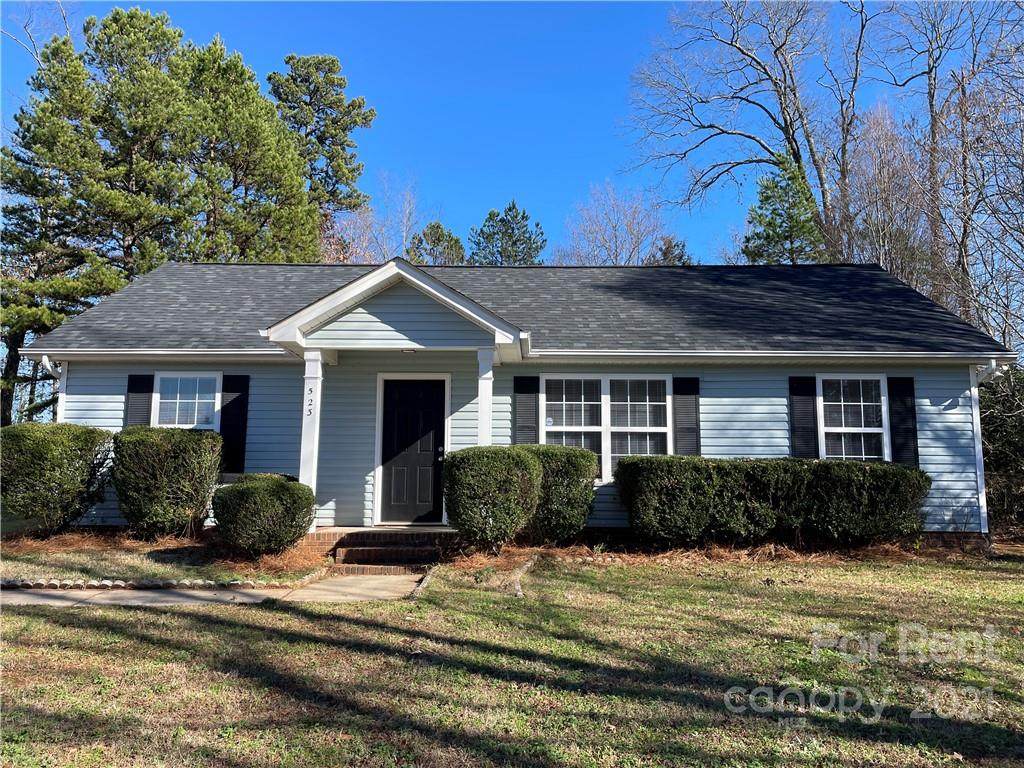 523 Cub Creek Lane - Photo 1