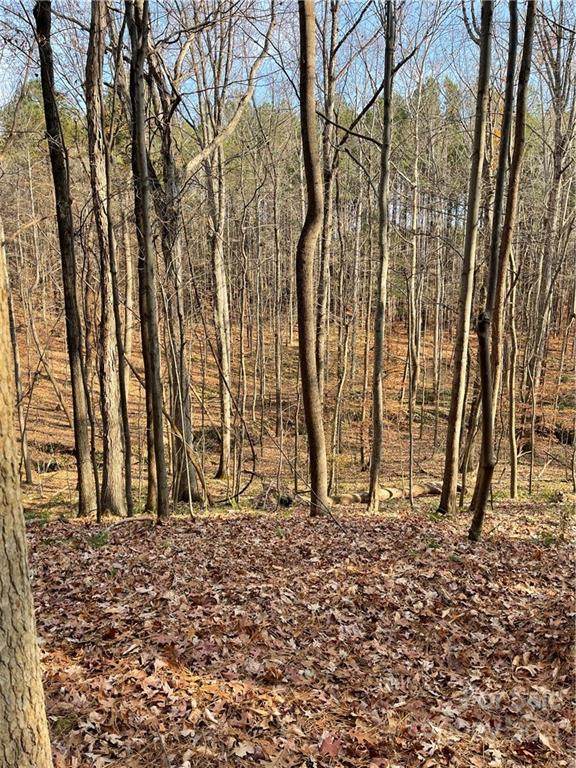 Lot 642 Emerald Creek Drive - Photo 1